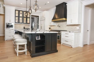 striking black and white themed kitchen remodel