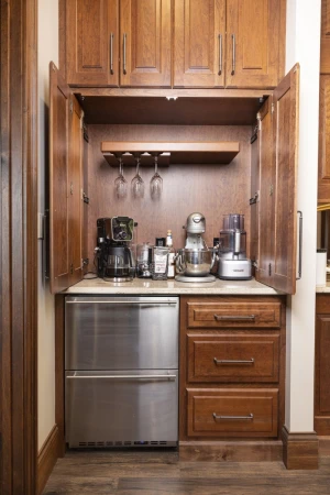 custom bar cabinetry with built-in fridge